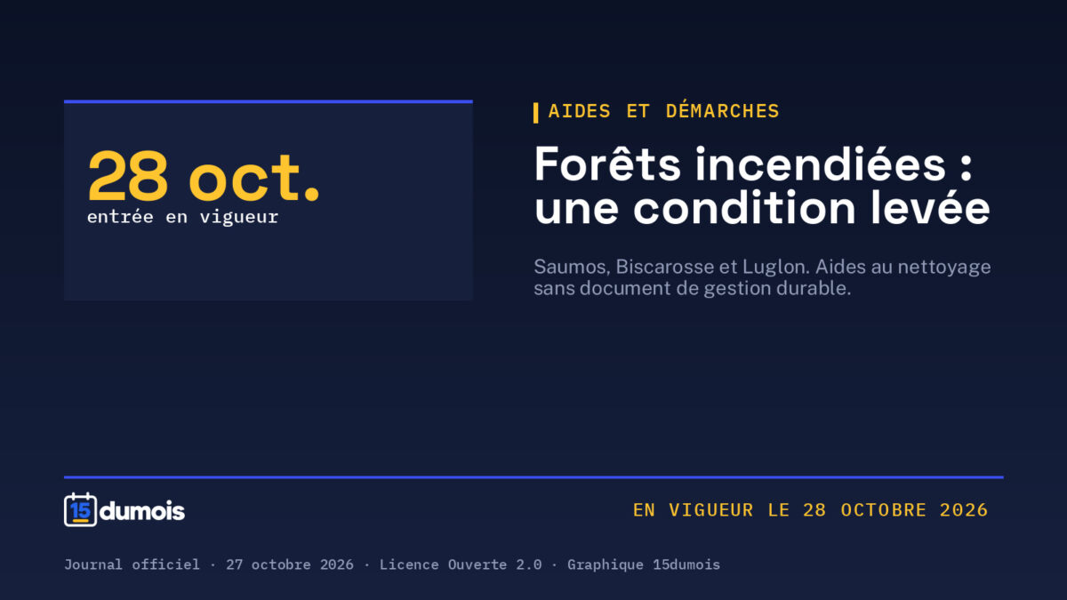 Forêts incendiées en Gironde et dans les Landes : une condition levée pour les aides au nettoyage