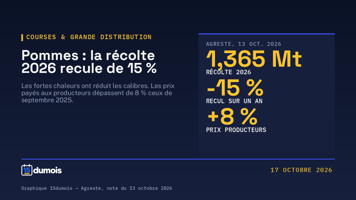 Pommes : la récolte 2026 recule de 15 %, les prix payés aux producteurs 8 % au-dessus de 2025